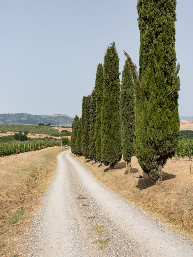 Agriturismo Bagnaia Toskania